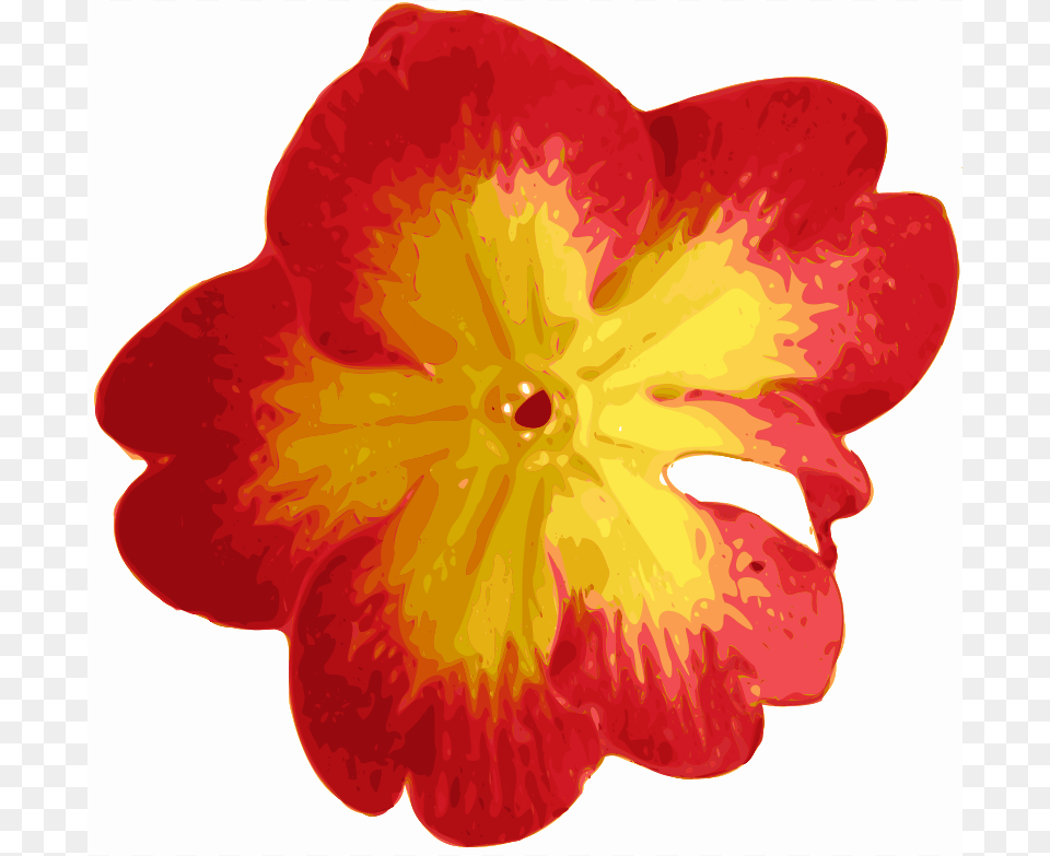 Yves Guillou Primevere, Flower, Petal, Plant, Geranium Png Image