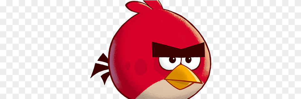 Zach Rogers Angry Birds, Food, Sweets, Face, Head Free Png