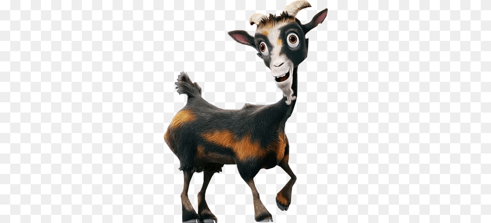 Zach Sony Pictures Animation Wiki Fandom Powered, Livestock, Animal, Kangaroo, Mammal Png Image