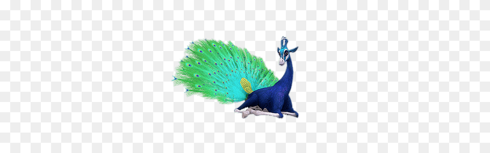 Zafari Character Pokey The Giraffe Peacock, Animal, Bird Png