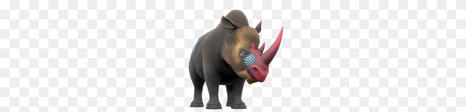 Zafari Character Renalda The Rhinoceros Front View, Animal, Bear, Mammal, Wildlife Png