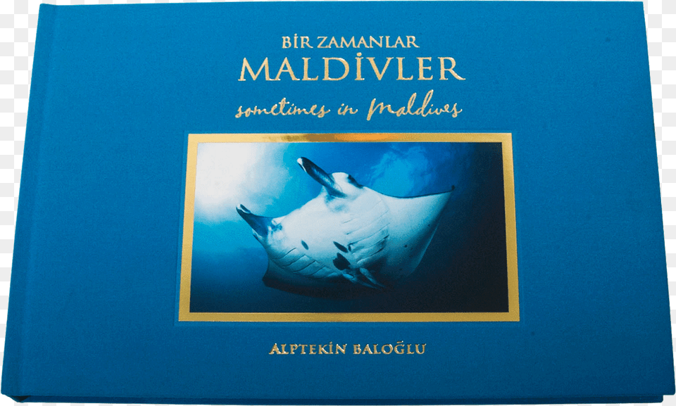 Zamanlar Maldivler39 Yaynland Manta Ray, Animal, Fish, Manta Ray, Sea Life Free Png Download