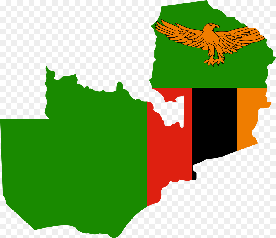 Zambia Flag And Map, Animal, Bird, Person, Beak Free Transparent Png