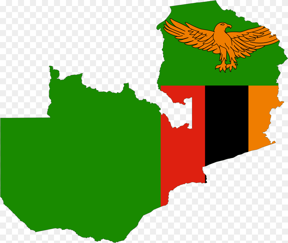Zambia Flag Map Large Map Zambia Flag In Country, Animal, Bird, Vulture, Beak Png Image