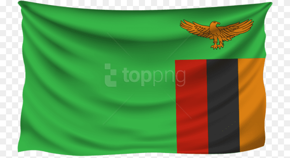Zambia Wrinkled Flag Clipart Zambia Circle Flag, Animal, Bird Free Png