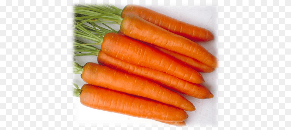 Zanahoria Danvers Half Long 126 Semillas Baby Carrot, Food, Plant, Produce, Vegetable Png