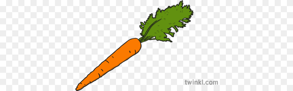 Zanahoria Ilustracin Twinkl Overloaded Socket Of Christmas Lights, Carrot, Food, Plant, Produce Png Image
