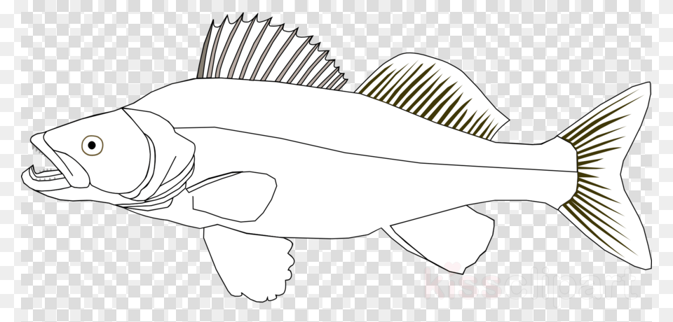 Zander Clipart Fish Northern Pike Clip Art Whatsapp Sticker, Animal, Sea Life, Shark Free Png