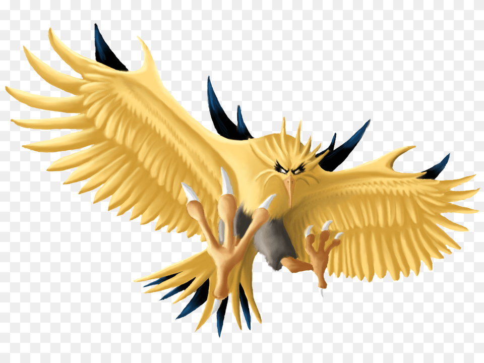 Zapdos, Animal, Bird Free Png