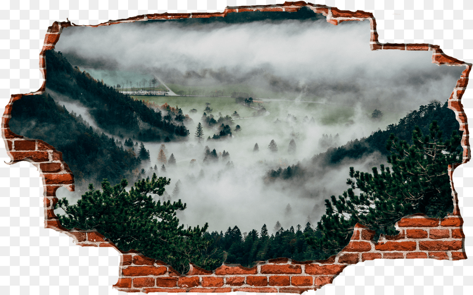 Zapwalls Decals Foggy Forest Hills Breaking Wall Nature Pines Mist, Brick, Outdoors, Weather, Plant Png Image