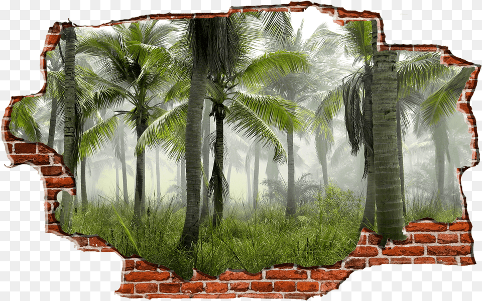 Zapwalls Decals Jungle Tree View Breaking Wall Naturequot 4k Coconut Tree Forest, Brick, Rainforest, Plant, Outdoors Free Png Download