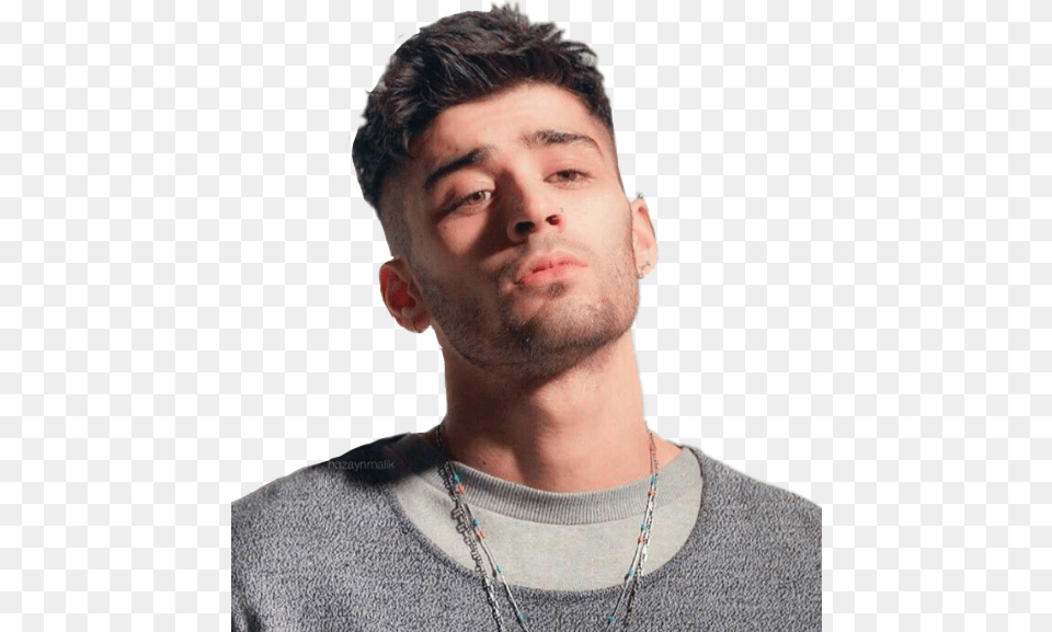 Zayn Malik Penshoppe Grey, Person, Body Part, Face, Head Free Transparent Png