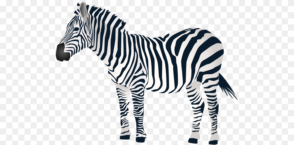 Zebra, Animal, Mammal, Wildlife Free Png Download