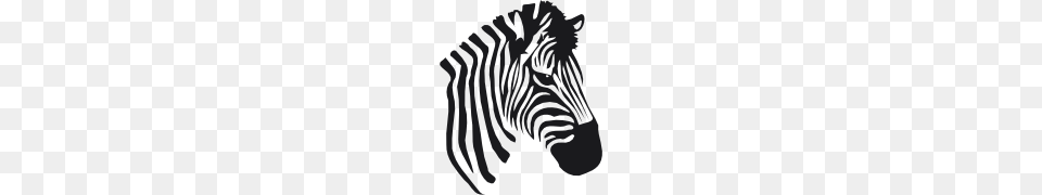 Zebra, Animal, Mammal, Wildlife, Person Free Png