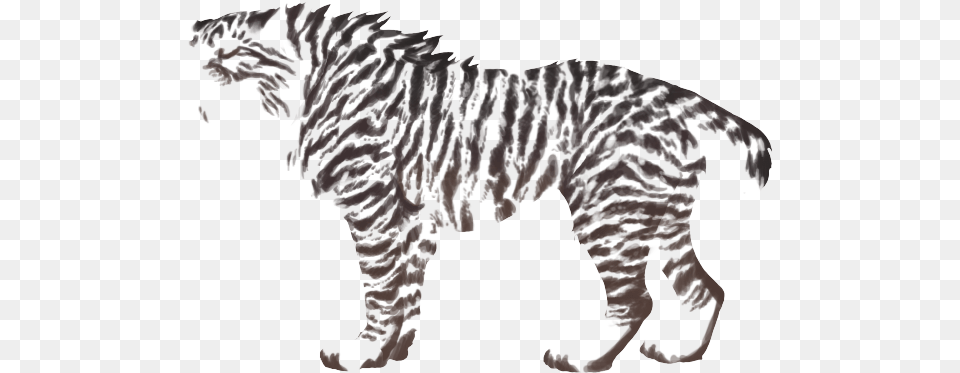 Zebra, Animal, Cat, Mammal, Manx Png Image