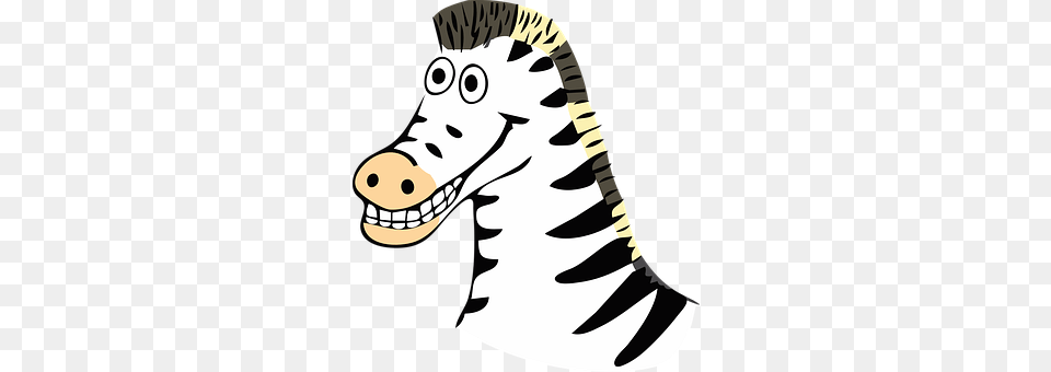 Zebra Baby, Person, Animal, Mammal Png
