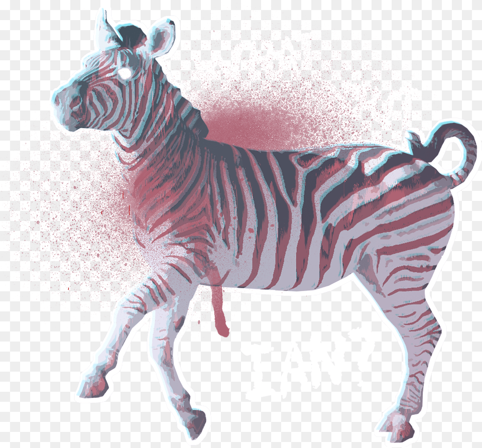 Zebra, Animal, Mammal, Wildlife Free Png Download