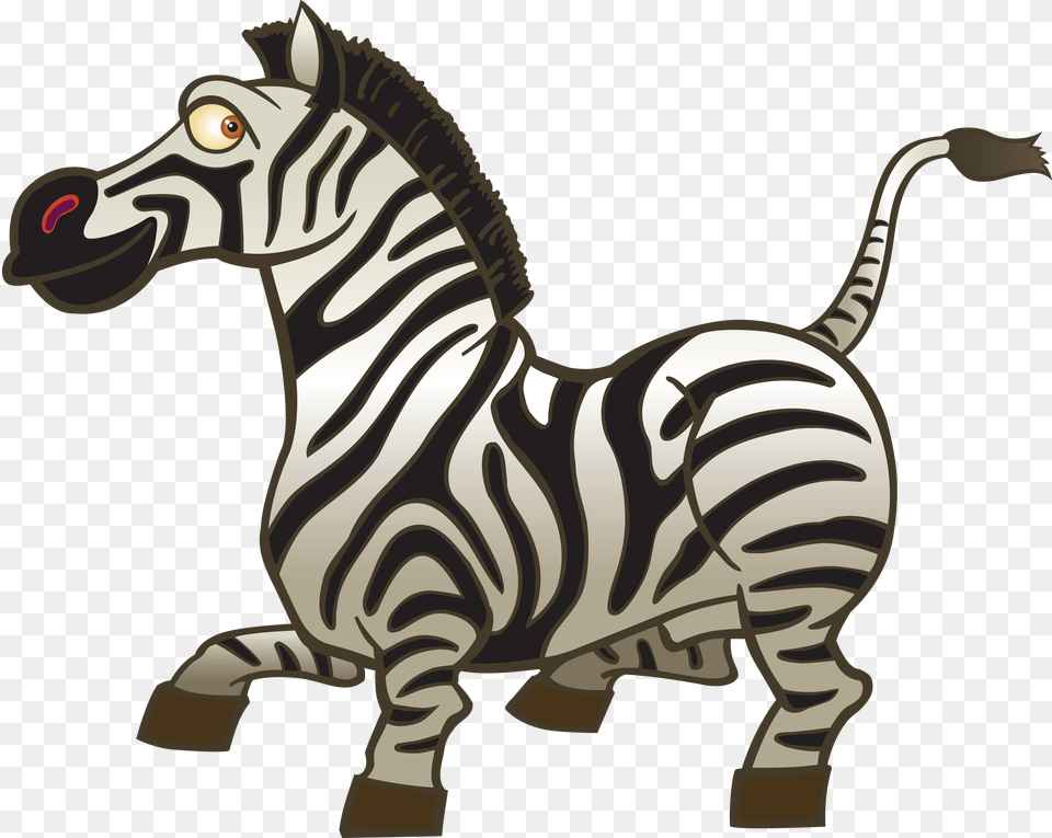 Zebra, Animal, Mammal, Wildlife, Kangaroo Free Png