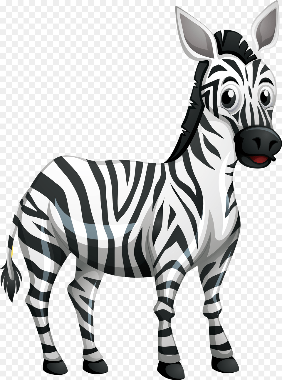 Zebra, Animal, Mammal, Wildlife Free Transparent Png