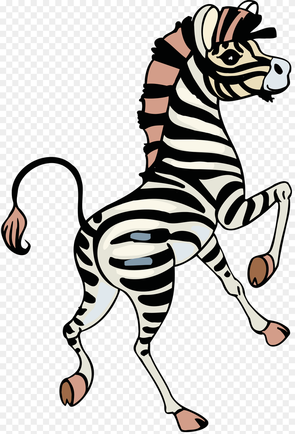Zebra, Animal, Wildlife, Baby, Mammal Free Transparent Png