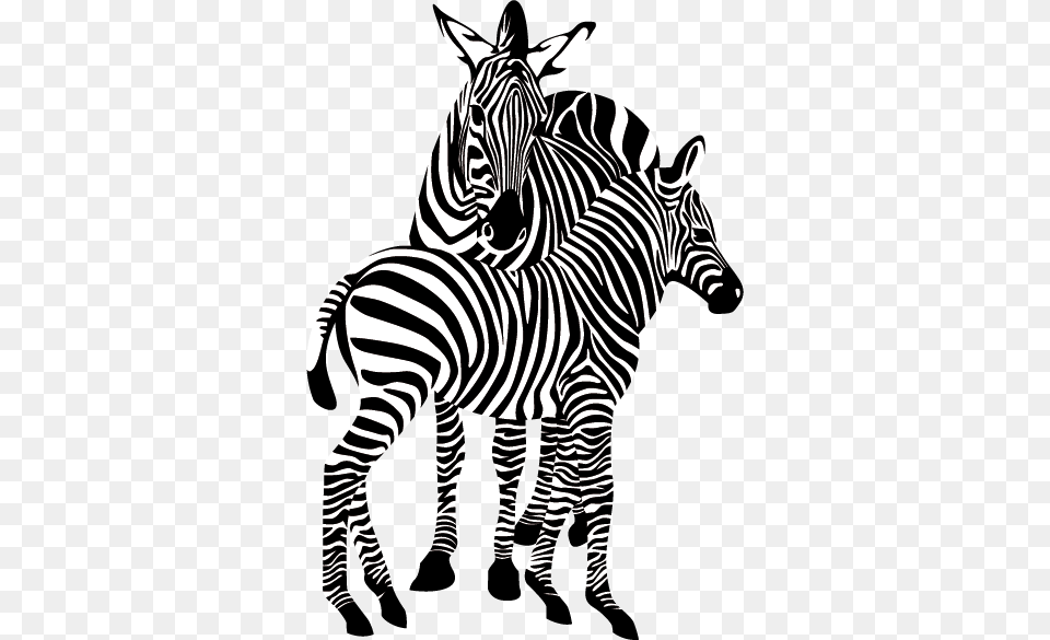 Zebra, Animal, Mammal, Wildlife Png