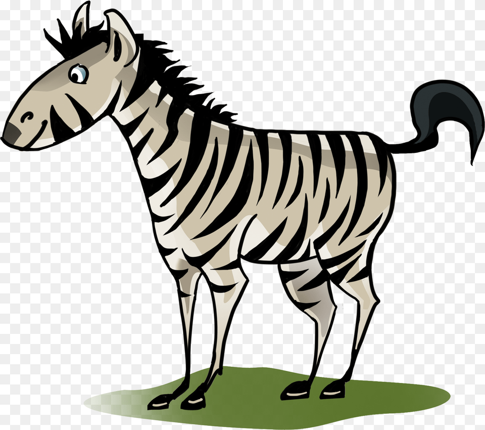 Zebra, Animal, Mammal, Wildlife, Kangaroo Png