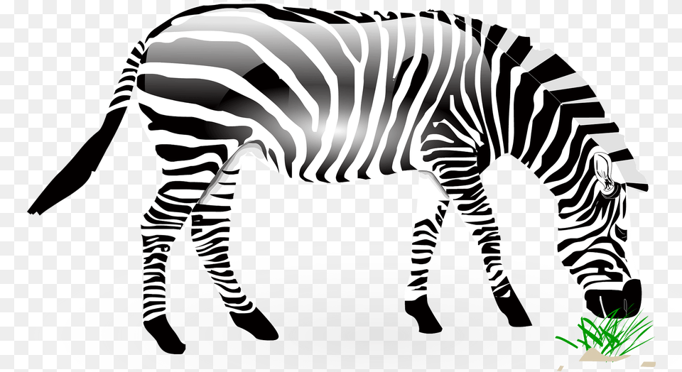Zebra, Animal, Wildlife, Mammal Free Png