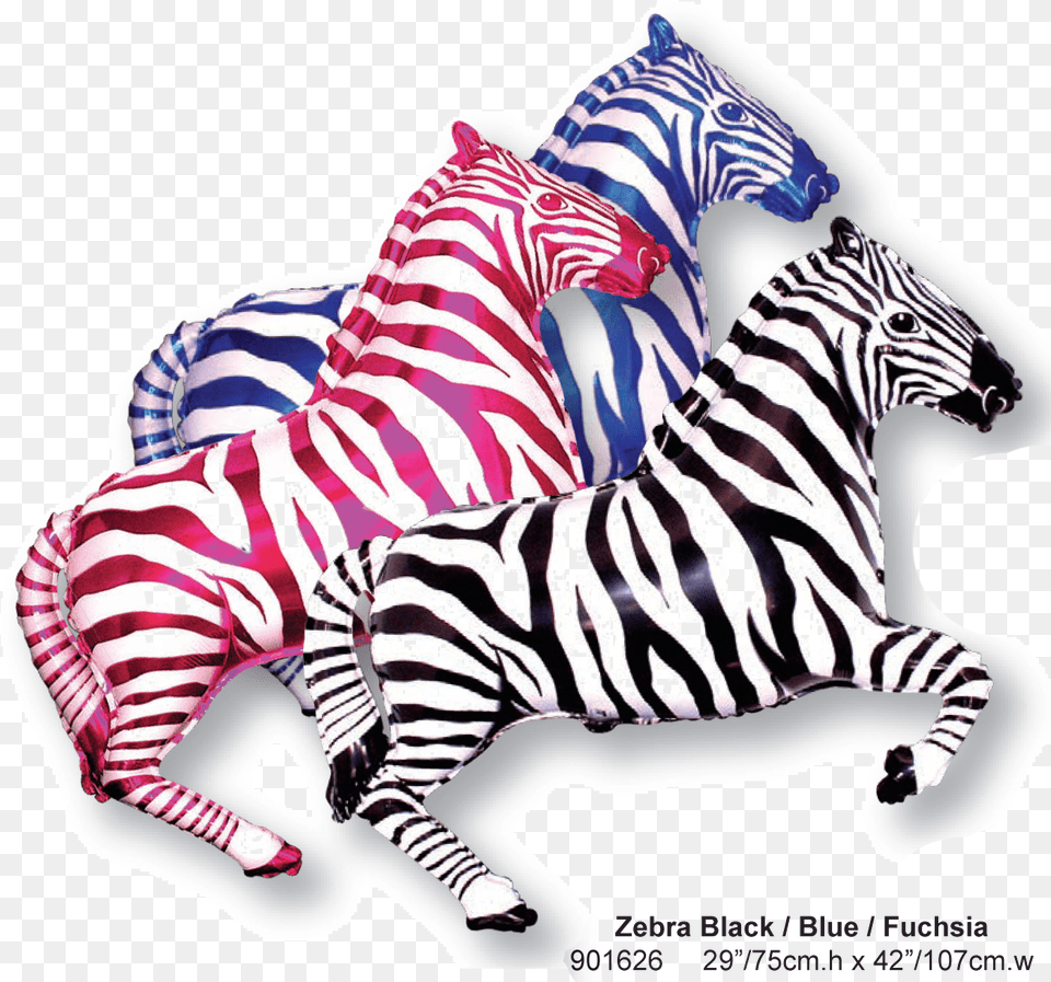 Zebra, Animal, Mammal, Wildlife Free Transparent Png