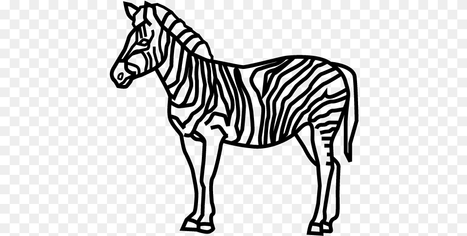 Zebra, Gray Png
