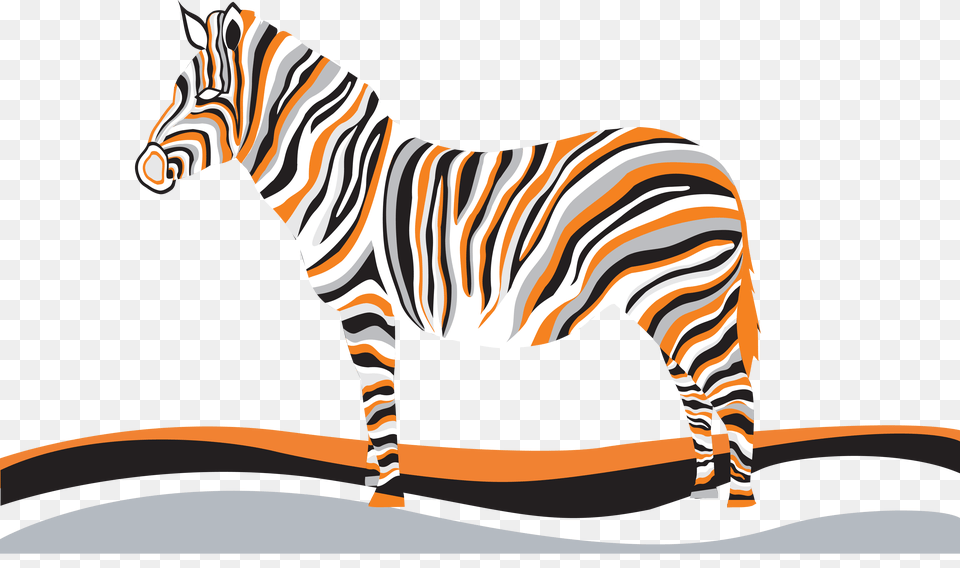 Zebra, Animal, Mammal, Wildlife Free Png Download