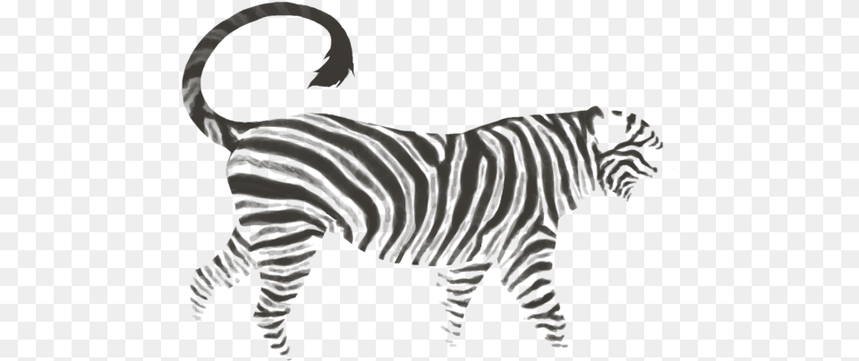 Zebra, Animal, Mammal, Wildlife, Stencil Png Image