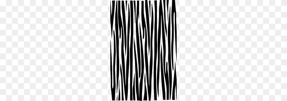Zebra Gray Png