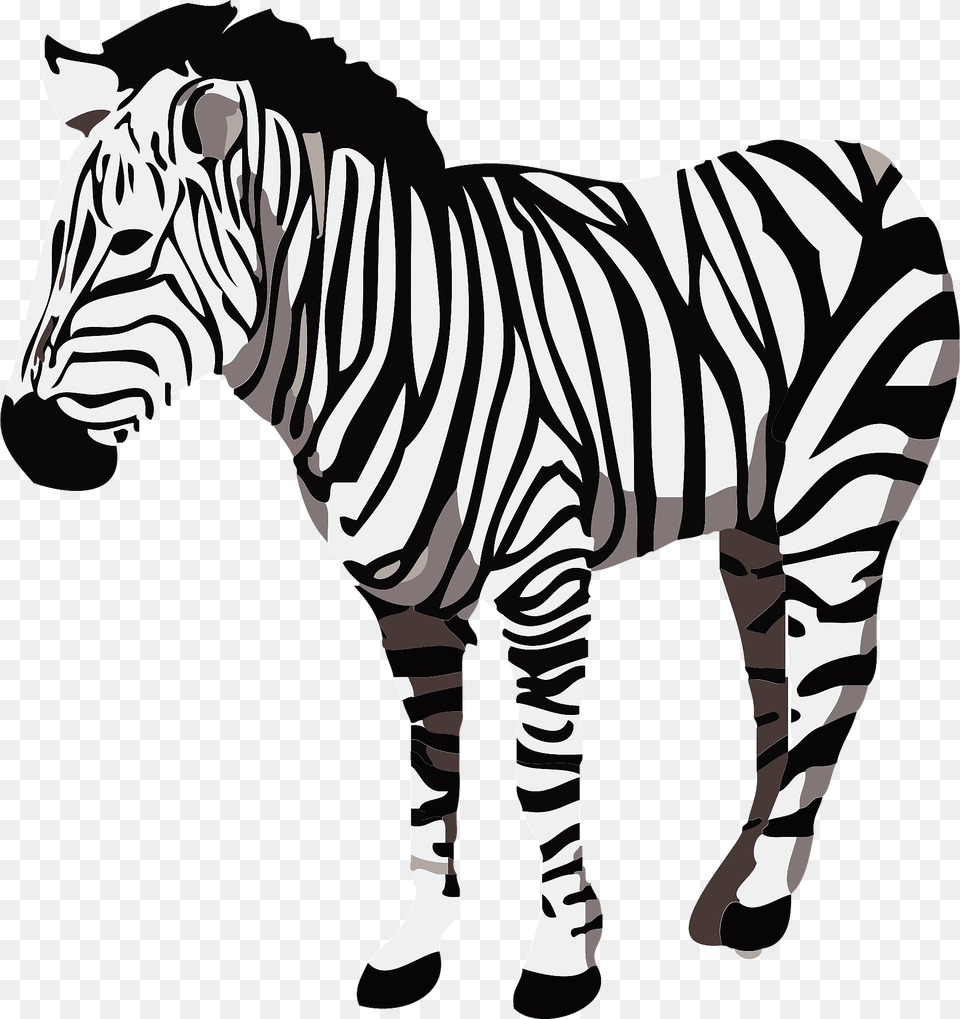 Zebra Animal Clipart, Mammal, Wildlife Free Png