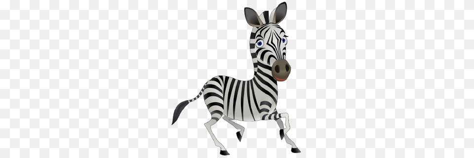 Zebra Animal Clipart, Mammal, Wildlife Free Png