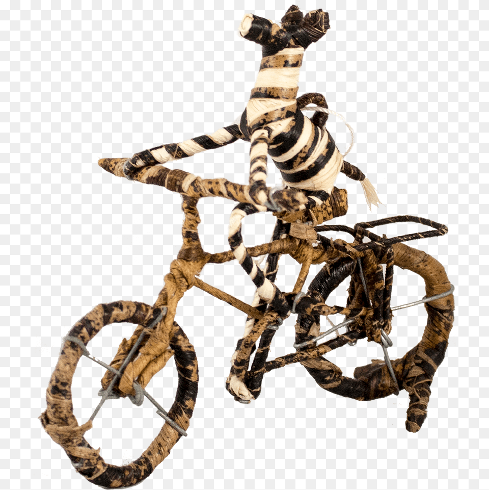 Zebra Bike, Animal, Invertebrate, Spider Free Png