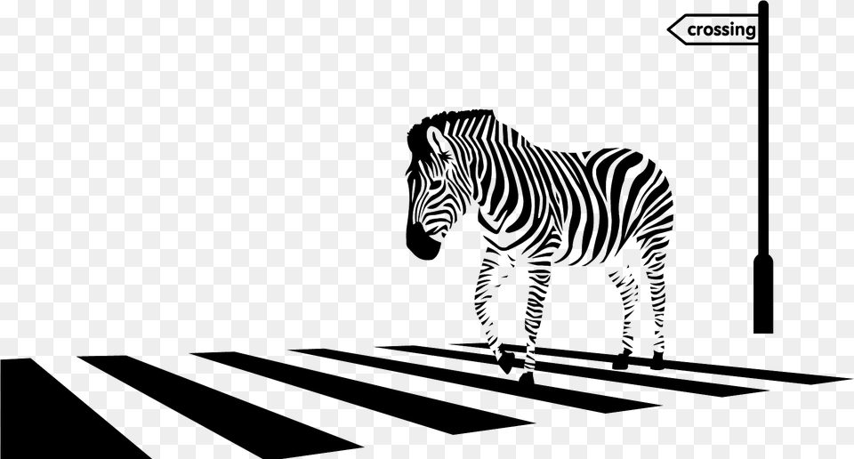 Zebra Border, Road, Tarmac, Zebra Crossing, Animal Png