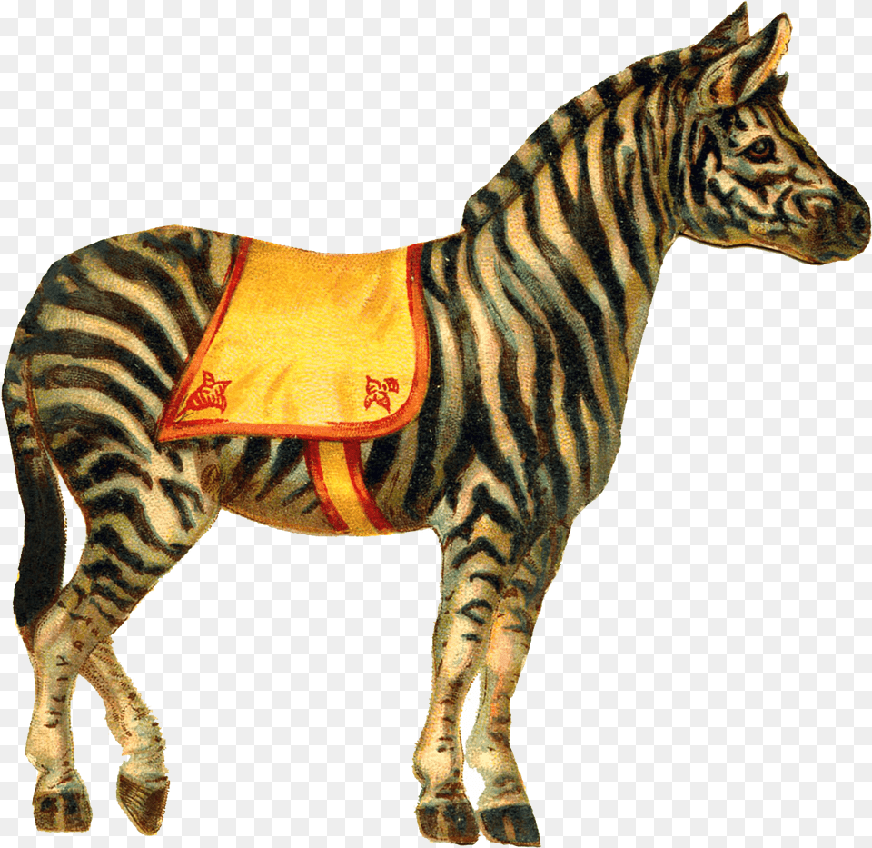 Zebra Circus Transparent Clipart Vintage Circus Animals, Animal, Mammal, Wildlife Free Png