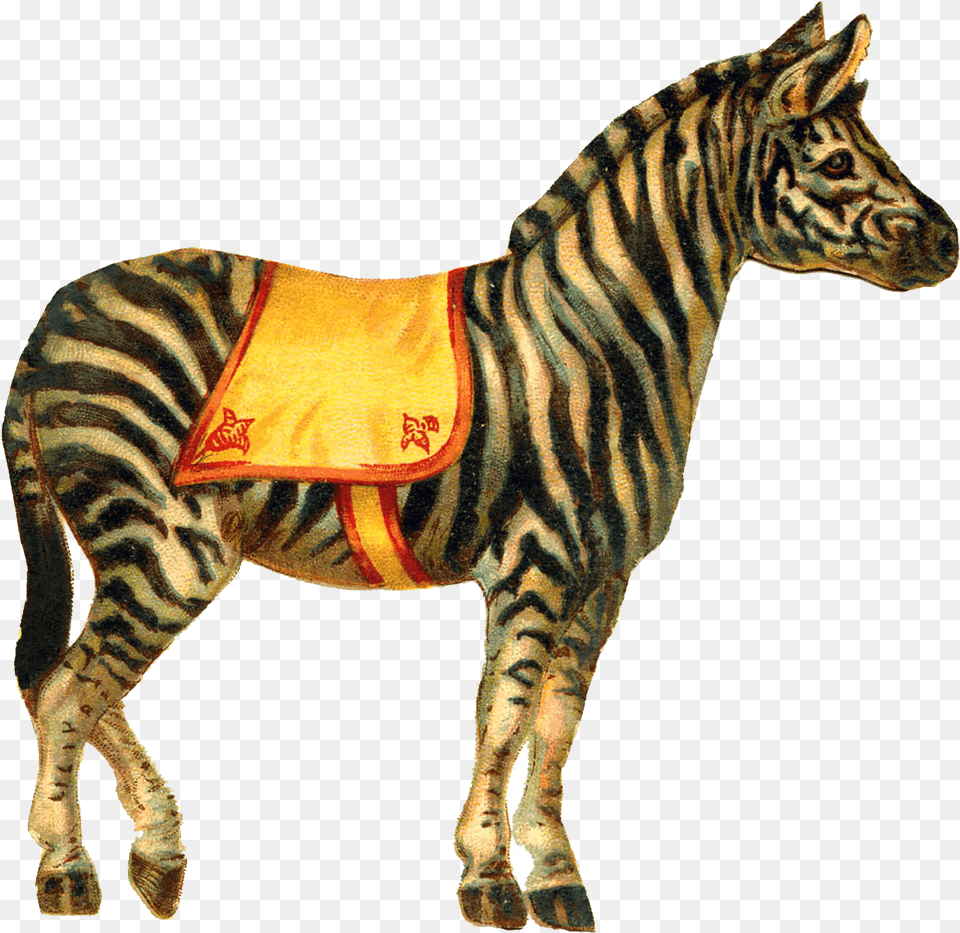 Zebra Circus Vintage Circus Animal Clipart, Mammal, Wildlife Free Png