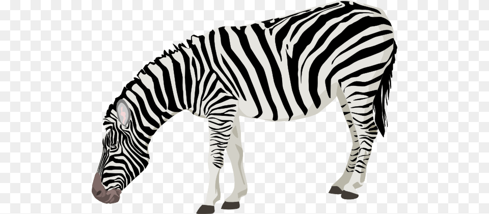 Zebra Clip Art, Animal, Mammal, Wildlife Free Png