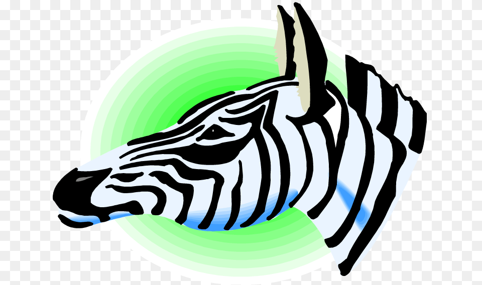 Zebra Clip Art, Baby, Person, Animal, Mammal Free Png Download