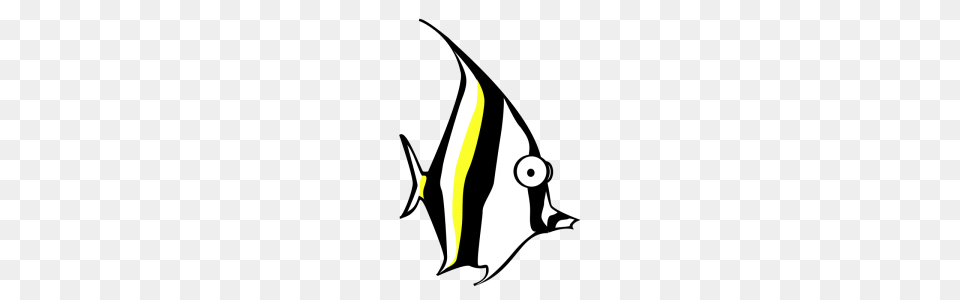 Zebra Clip Art Download, Angelfish, Animal, Fish, Sea Life Png Image
