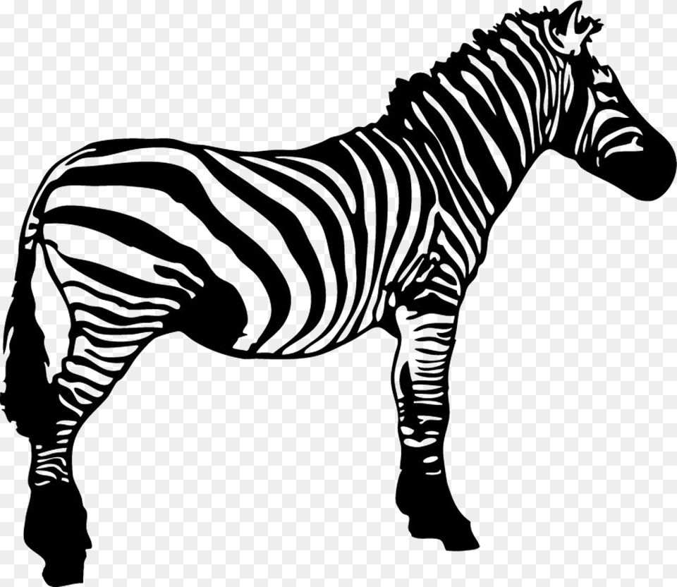Zebra Clip Art Zebra Black And White Clipart, Animal, Mammal, Wildlife Free Png