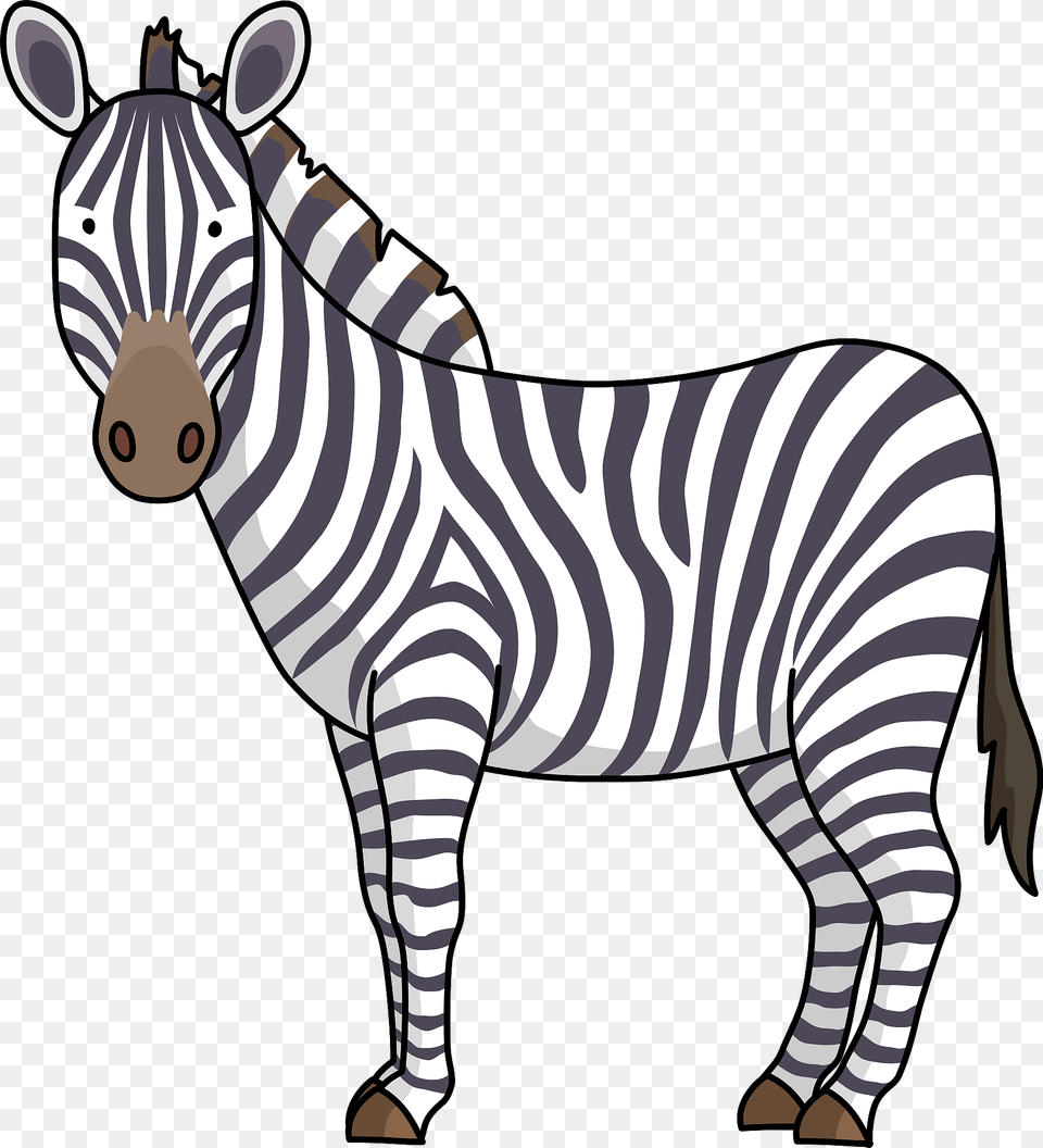 Zebra Clipart, Animal, Mammal, Wildlife Free Png