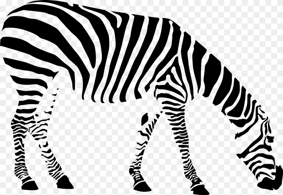 Zebra Clipart, Animal, Wildlife, Mammal Png