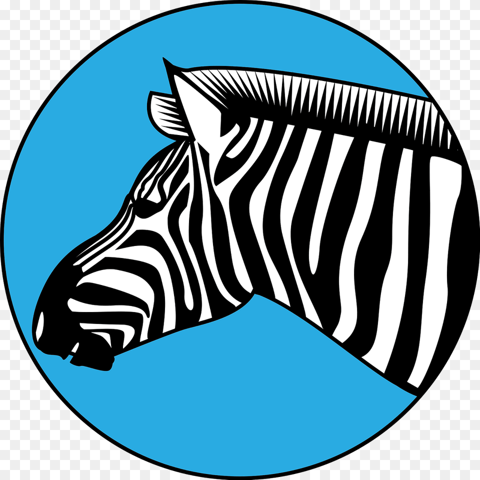 Zebra Clipart, Animal, Mammal, Wildlife Free Png