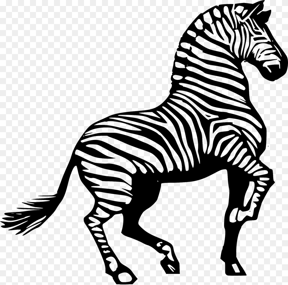 Zebra Clipart, Animal, Mammal, Wildlife Free Png Download