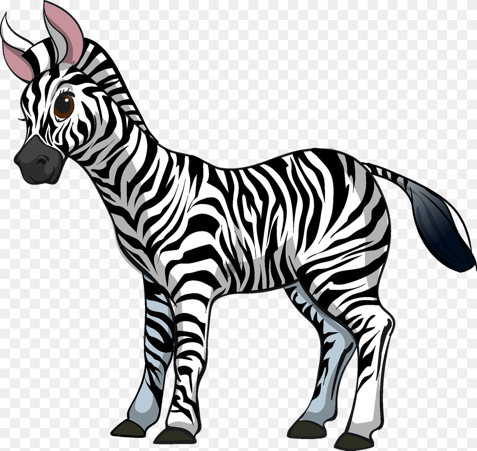 Zebra Clipart, Animal, Mammal, Wildlife Png