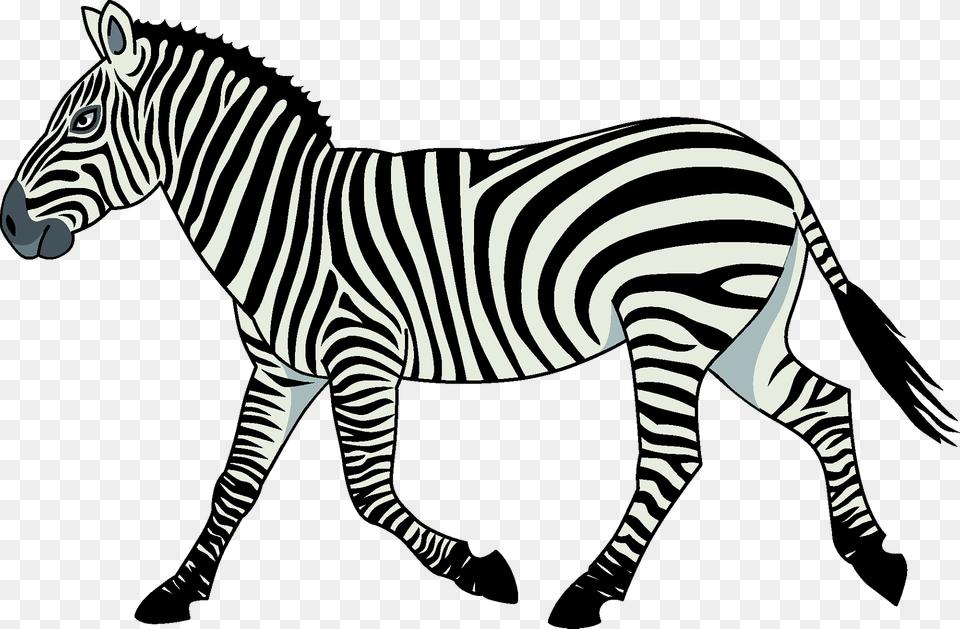 Zebra Clipart, Animal, Mammal, Wildlife Png Image