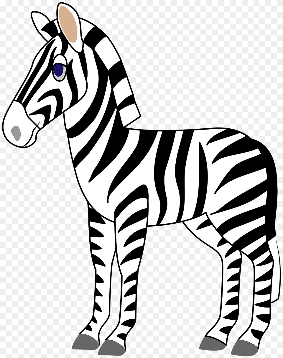 Zebra Clipart, Animal, Mammal, Wildlife, Baby Png Image