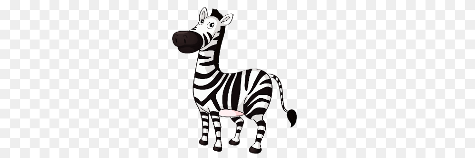 Zebra Clipart, Animal, Mammal, Wildlife Free Transparent Png